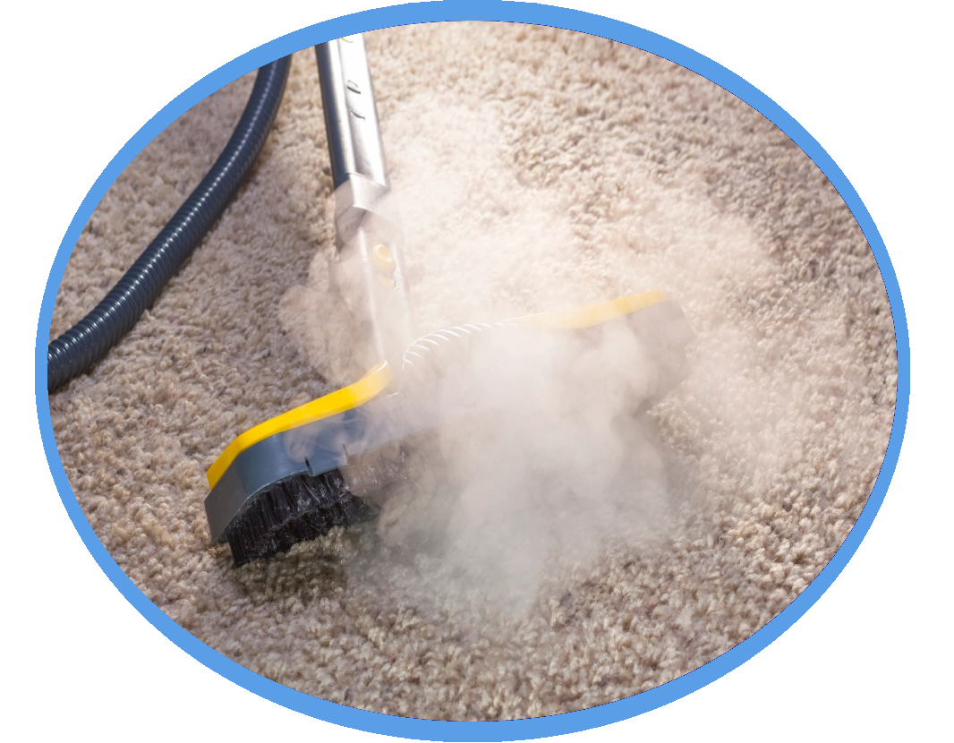 A steam cleaner is being used to clean the carpet.